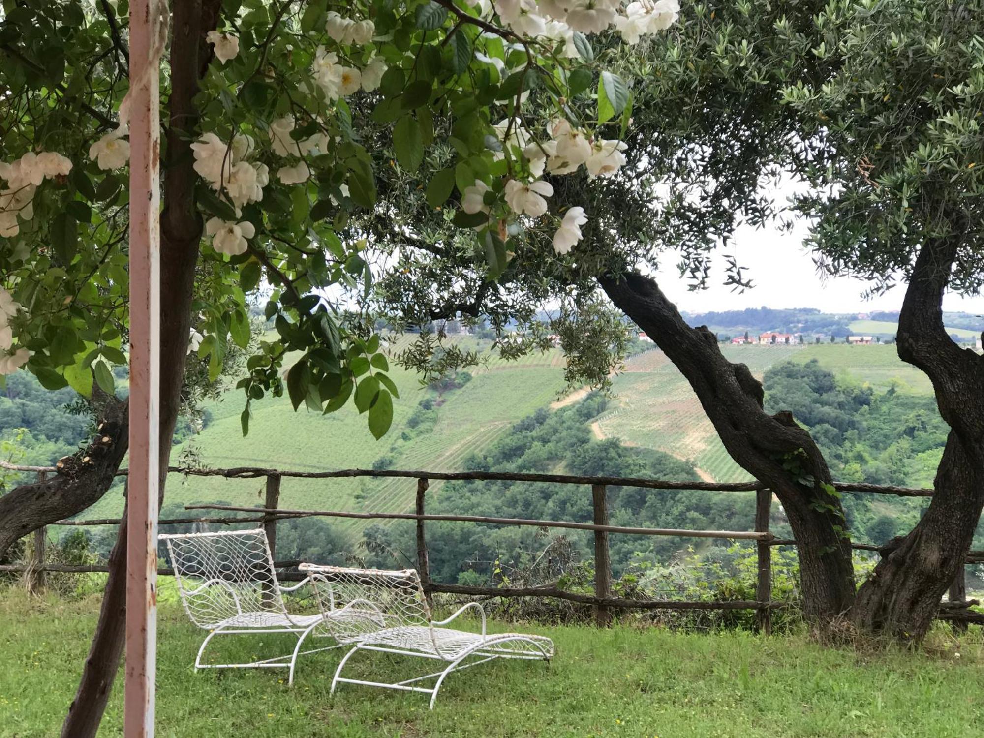 Agriturismo Campoletizia Miglianico Exterior photo