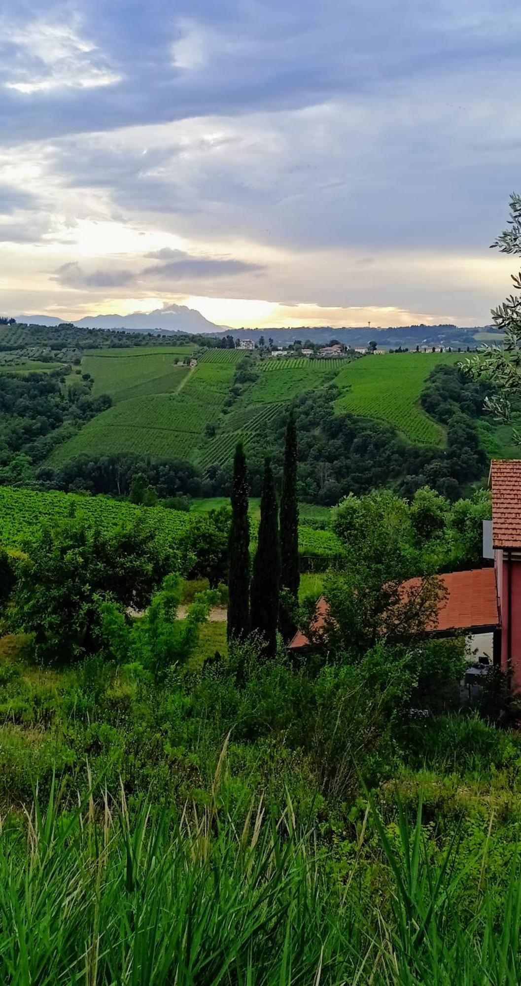 Agriturismo Campoletizia Miglianico Exterior photo